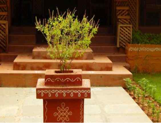 Why is Tulsi planted in the center of many Hindu homes?